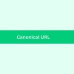 Understanding Canonical URLs: How Google Uses Approximately 40 Signals to Identify Them.